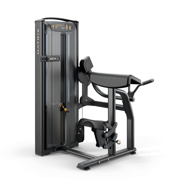 Versa Bicep Curl