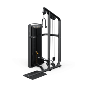 Versa Bicep / Tricep