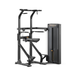 Versa Chin / Dip Assist