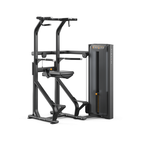 Versa Chin / Dip Assist