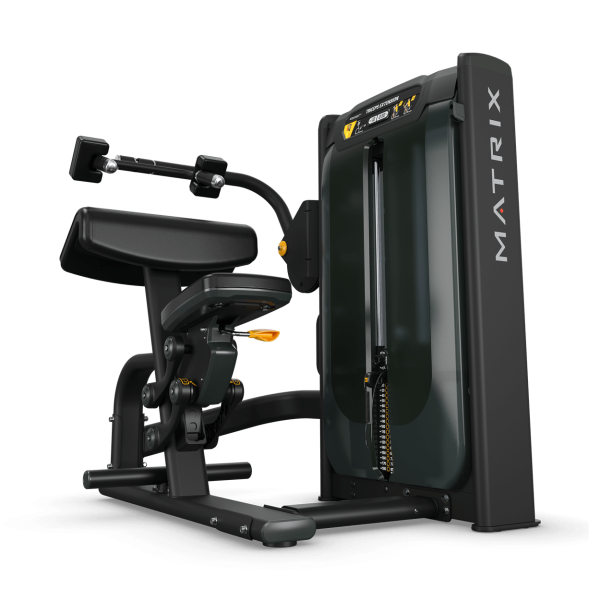 Ultra Triceps Extension - Image 4