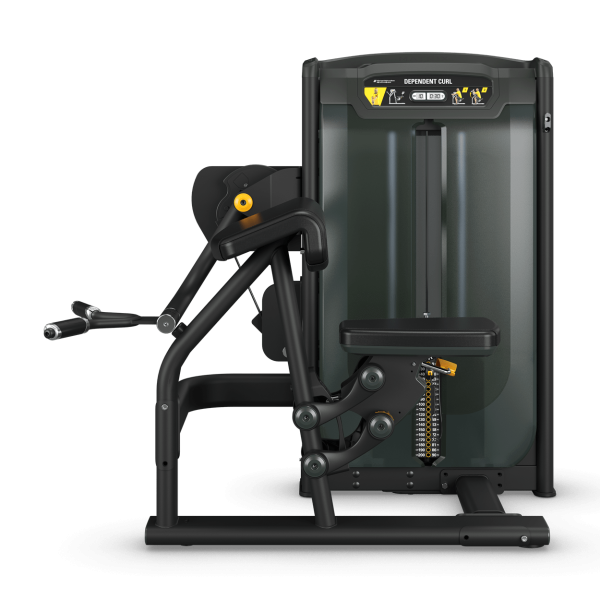 Ultra Dependent Arm Curl - Image 5