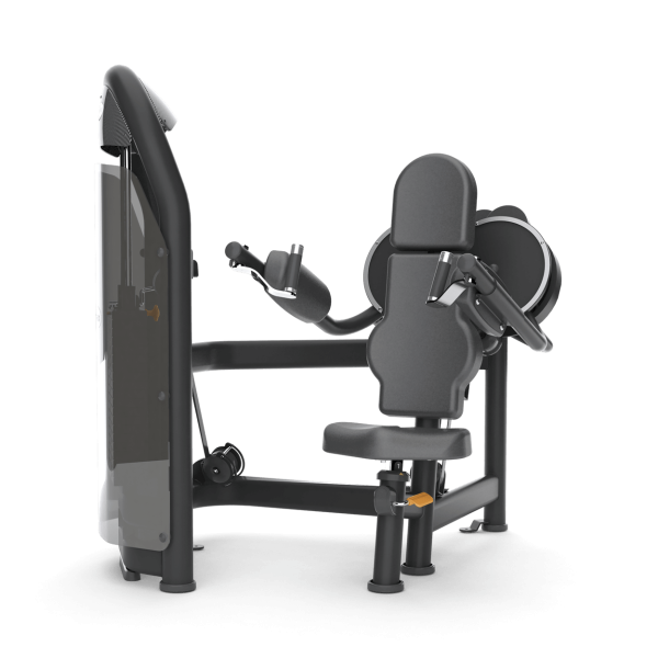 Aura Lateral Raise
