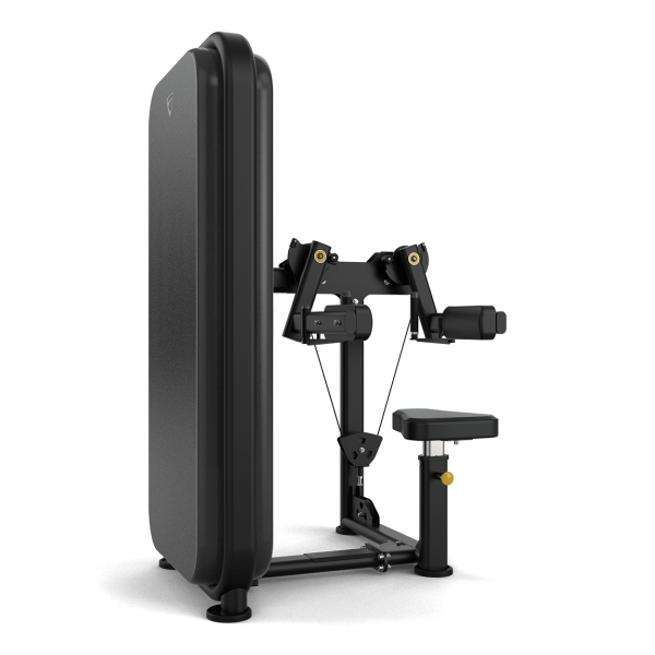 Lateral Raise - Image 2