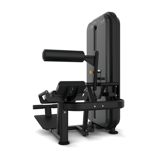 Ab / Low Back - Image 2