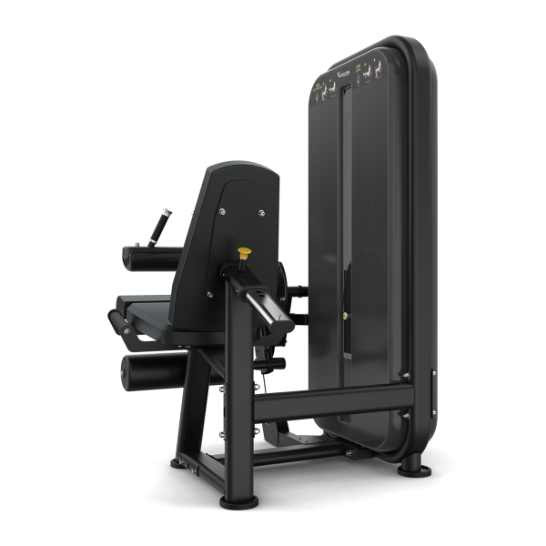 Leg Extension / Leg Curl - Image 2
