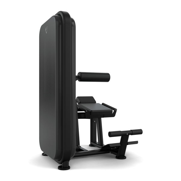 Ab / Low Back - Image 3