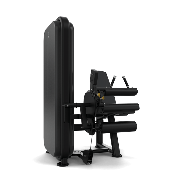 Leg Extension / Leg Curl - Image 3