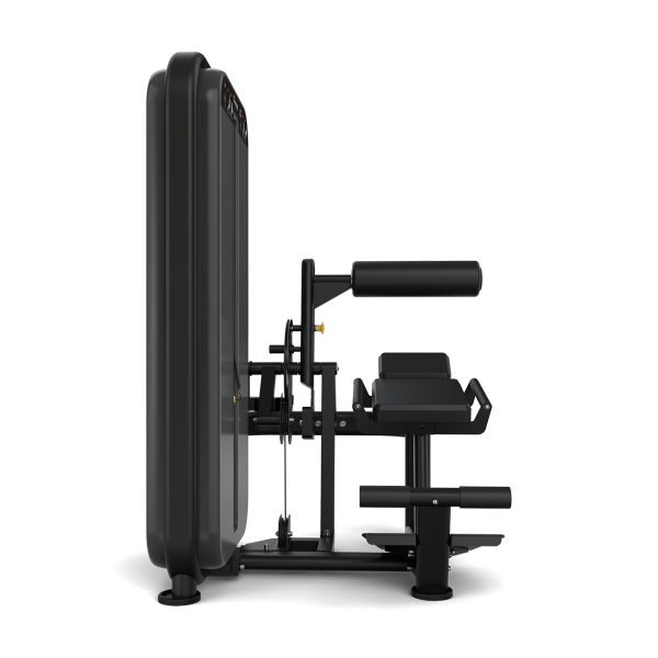 Ab / Low Back - Image 4