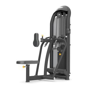 Aura Diverging Seated Row