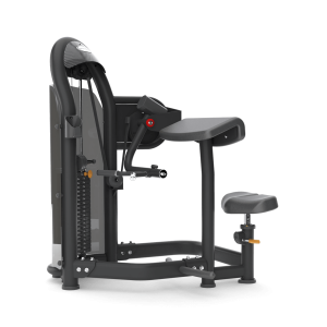 Aura Arm Curl