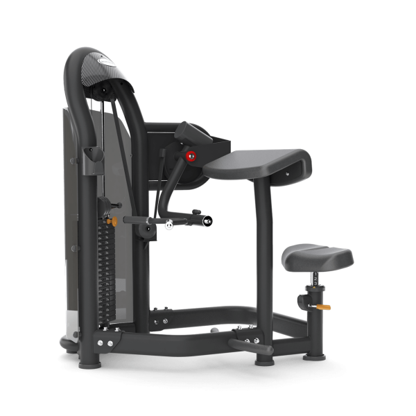 Aura Arm Curl