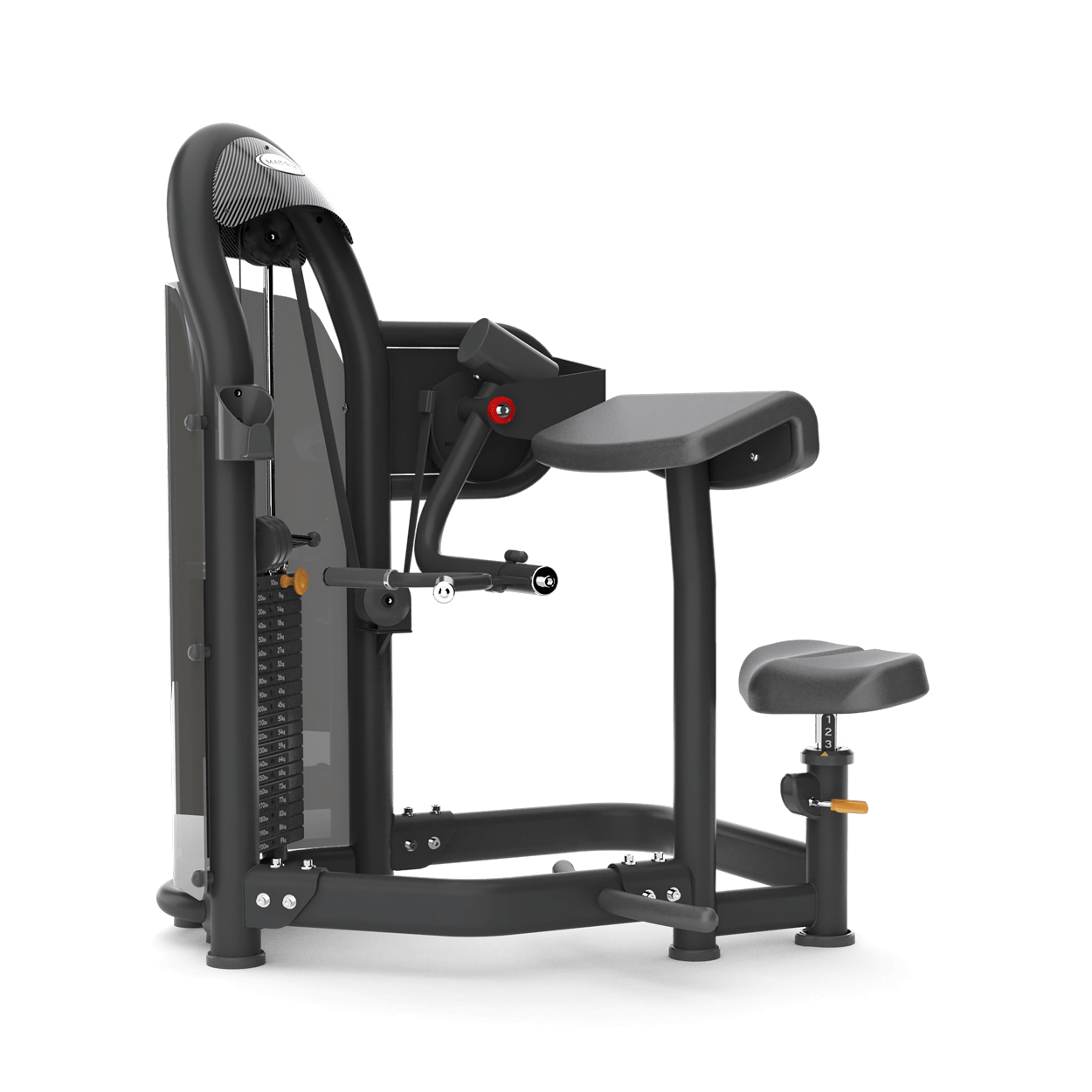 Aura Arm Curl