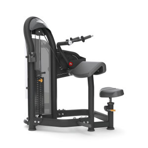 Aura Tricep Extension