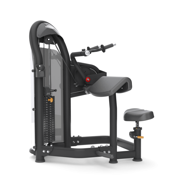 Aura Tricep Extension