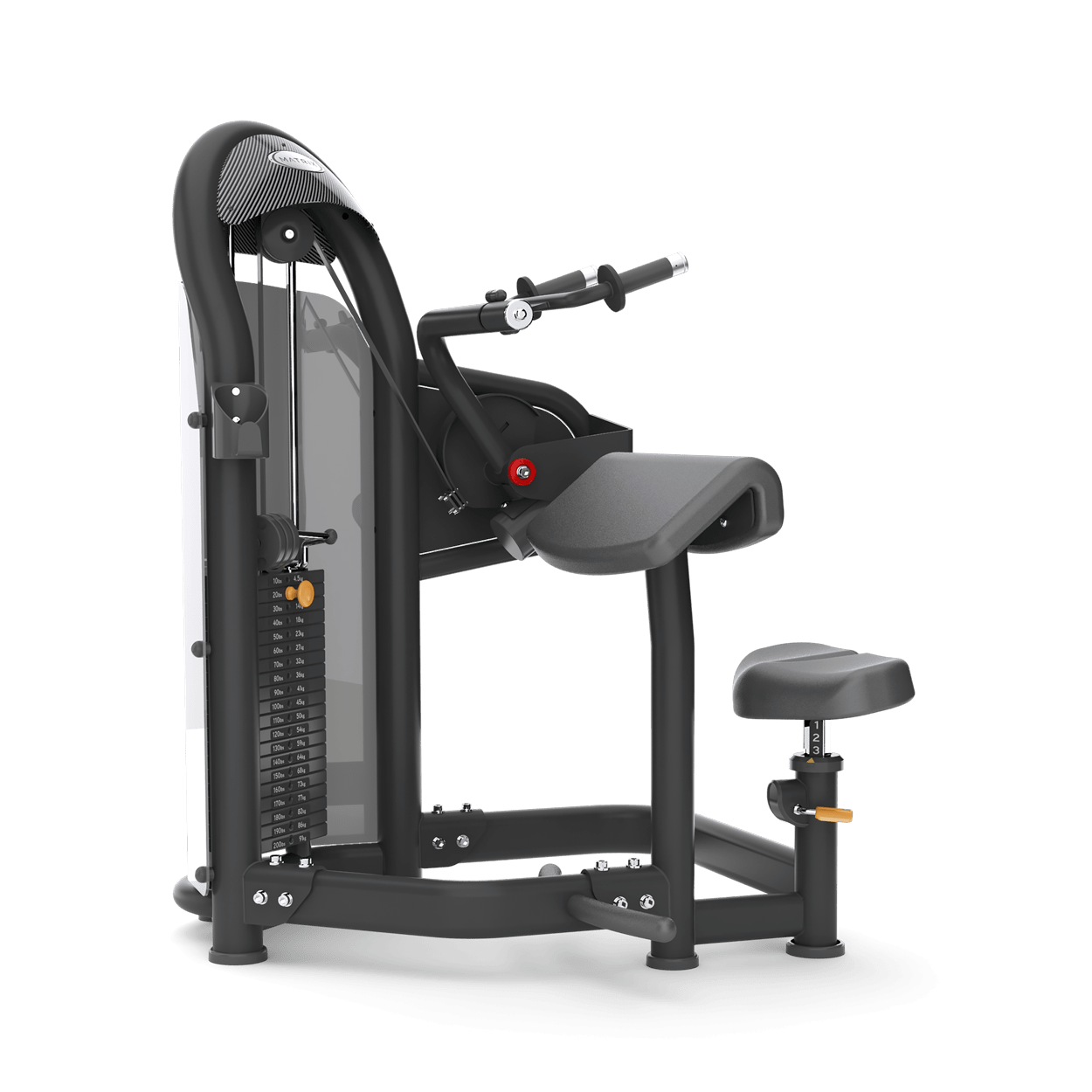 Aura Tricep Extension