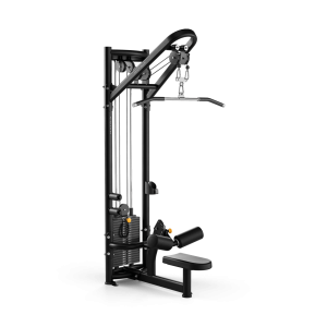 Aura Lat Pulldown