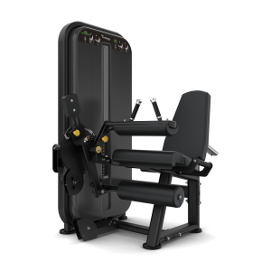 Leg Extension / Leg Curl