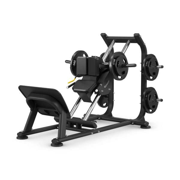 Hack Squat