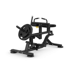 Seated Calf Raise